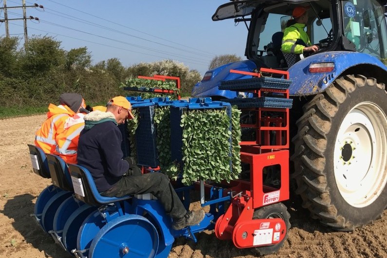 ferrari-f-max-transplanter