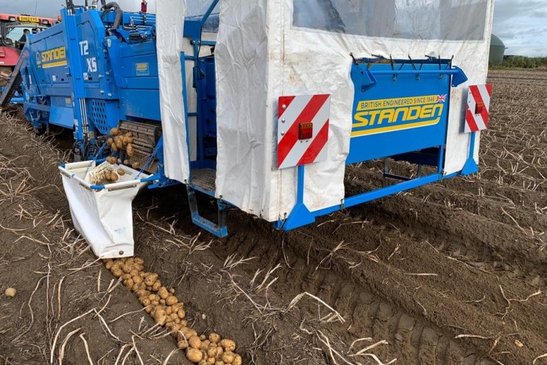 standen-t2xs-potato-harvester