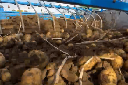 Video thumbnail for Standen T2XS Potato Harvester